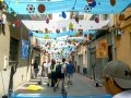 Enramades de Sallent