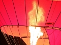 20140712_06-European Baloon Festival.jpg