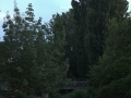 2014-06-20 21h05m08.JPG
