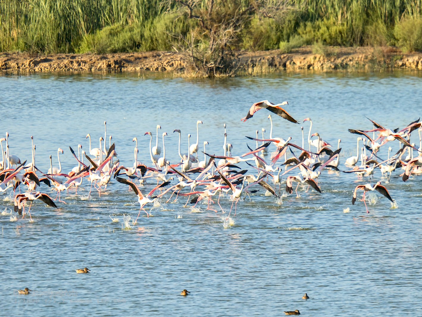 E9076954