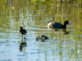 E9108974