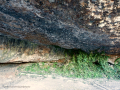 Font de la Pola