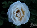 2014-07-29 21h04m57.jpg