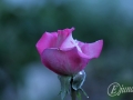 2014-07-29 21h07m08.jpg