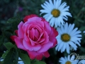 2014-07-29 21h07m56.jpg