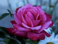 2014-07-29 21h08m22.jpg