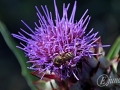2014-07-31 19h16m05.jpg