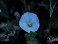 2014-07-31 19h27m31.jpg