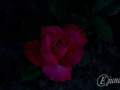 2014-08-03 21h28m22.jpg