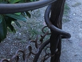 2014-08-05 11h22m16.jpg