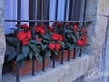 2014-08-05 12h09m14.jpg