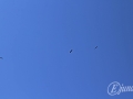 2014-08-05 12h30m36.jpg