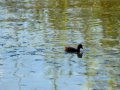E9108748