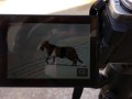 IMG_20200806_114506