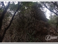 20140118_13-Hospital de Sang.JPG