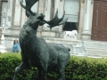 20110419-0170_Estambul.jpg