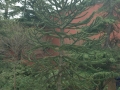 20110419-0172_Estambul.jpg
