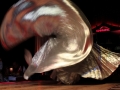 20110418-0085_Estambul.jpg