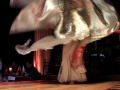 20110418-0088_Estambul.jpg