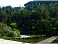 Jardin Botanico-002.jpg