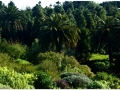 Jardin Botanico-003.jpg