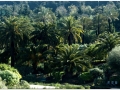 Jardin Botanico-004.jpg