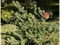 Jardin Botanico-008.jpg