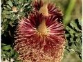 Jardin Botanico-009.jpg