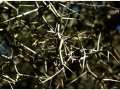 Jardin Botanico-012.jpg