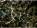 Jardin Botanico-013.jpg