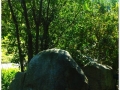 Jardin Botanico-014.jpg