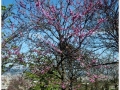 Jardin Botanico-022.jpg