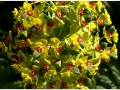 Jardin Botanico-024.jpg