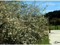 Jardin Botanico-026.jpg