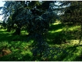 Jardin Botanico-029.jpg
