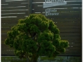 Jardin Botanico-032.jpg