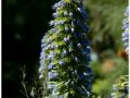 Jardin Botanico-050.jpg