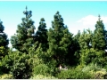 Jardin Botanico-056.jpg