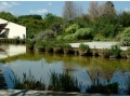 Jardin Botanico-061.jpg