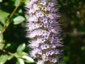 Jardin Botanico-070.jpg