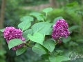 2015-04-25 09h03m39.jpg
