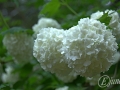 2015-04-25 09h04m16.jpg