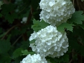 2015-04-25 09h05m04.jpg