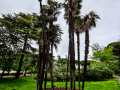 Jardins de Joan Maragall
