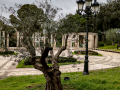 Jardins de Joan Maragall