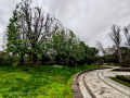 Jardins de Joan Maragall