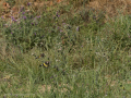 E5057398