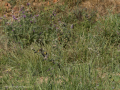 E5057401