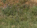 E5057405