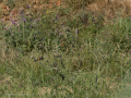 E5057425
